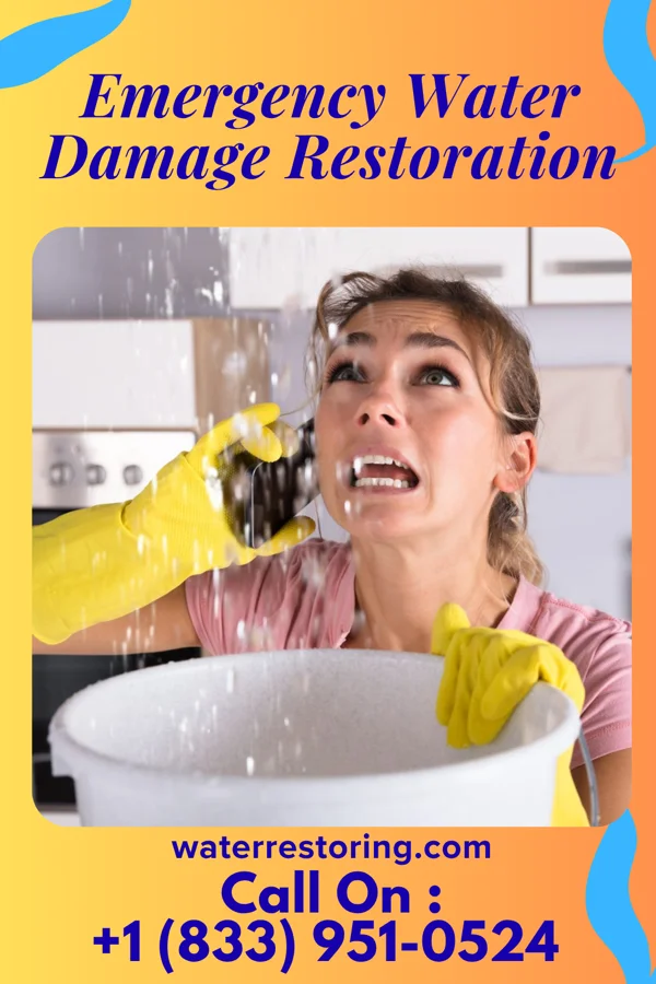 Emergency Water Damage Restoration in Springfield, SC